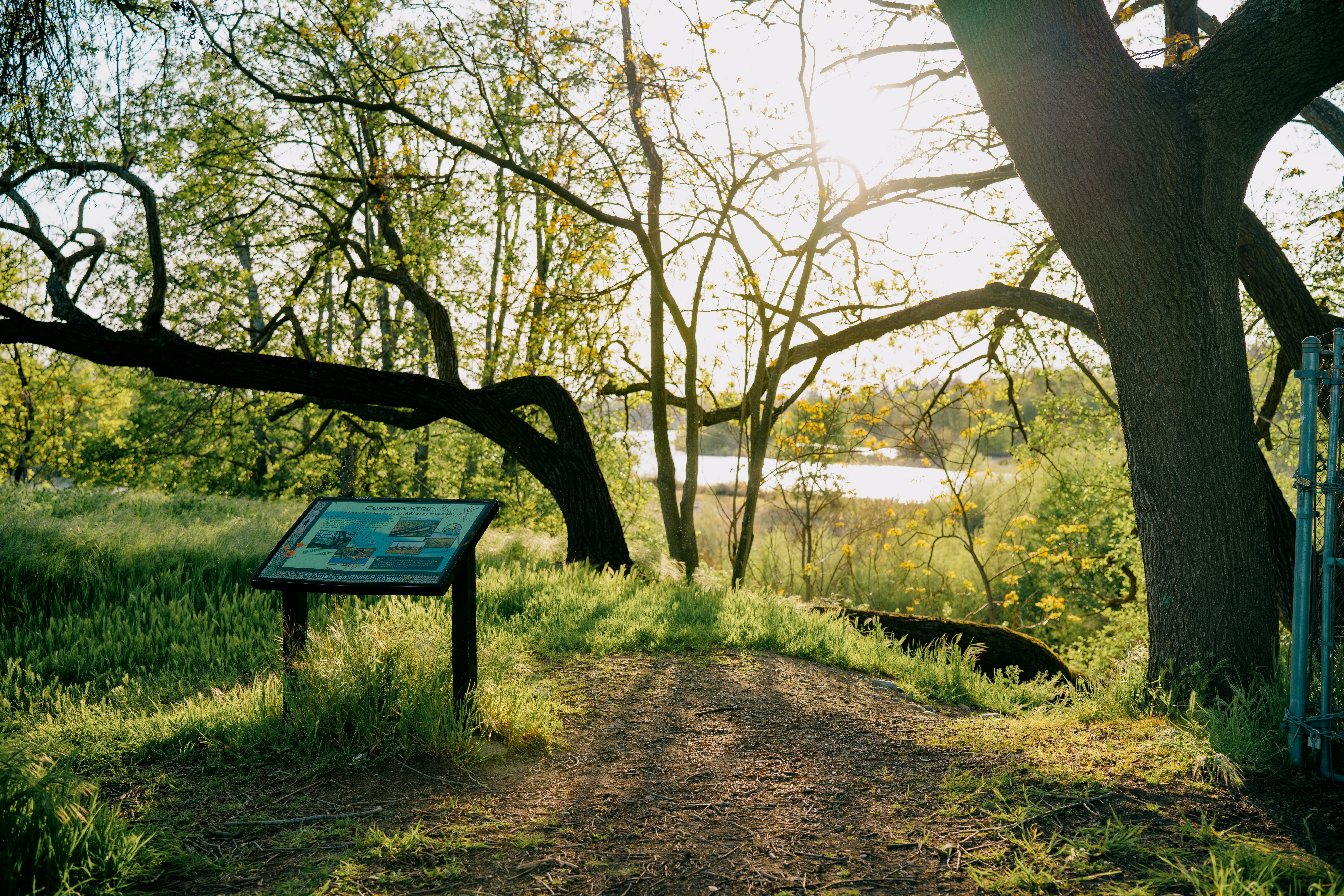 Rancho Cordova American River Parkway access
