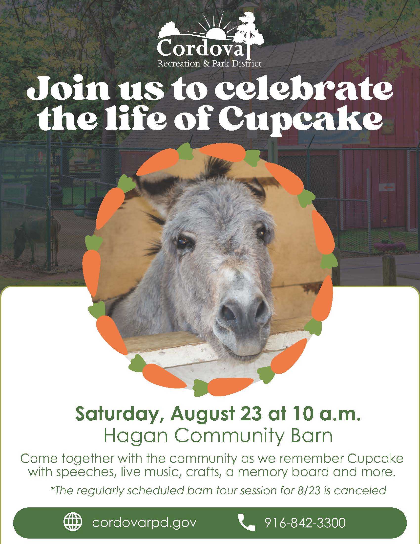 Cupcake the Donkey Memorial Flyer