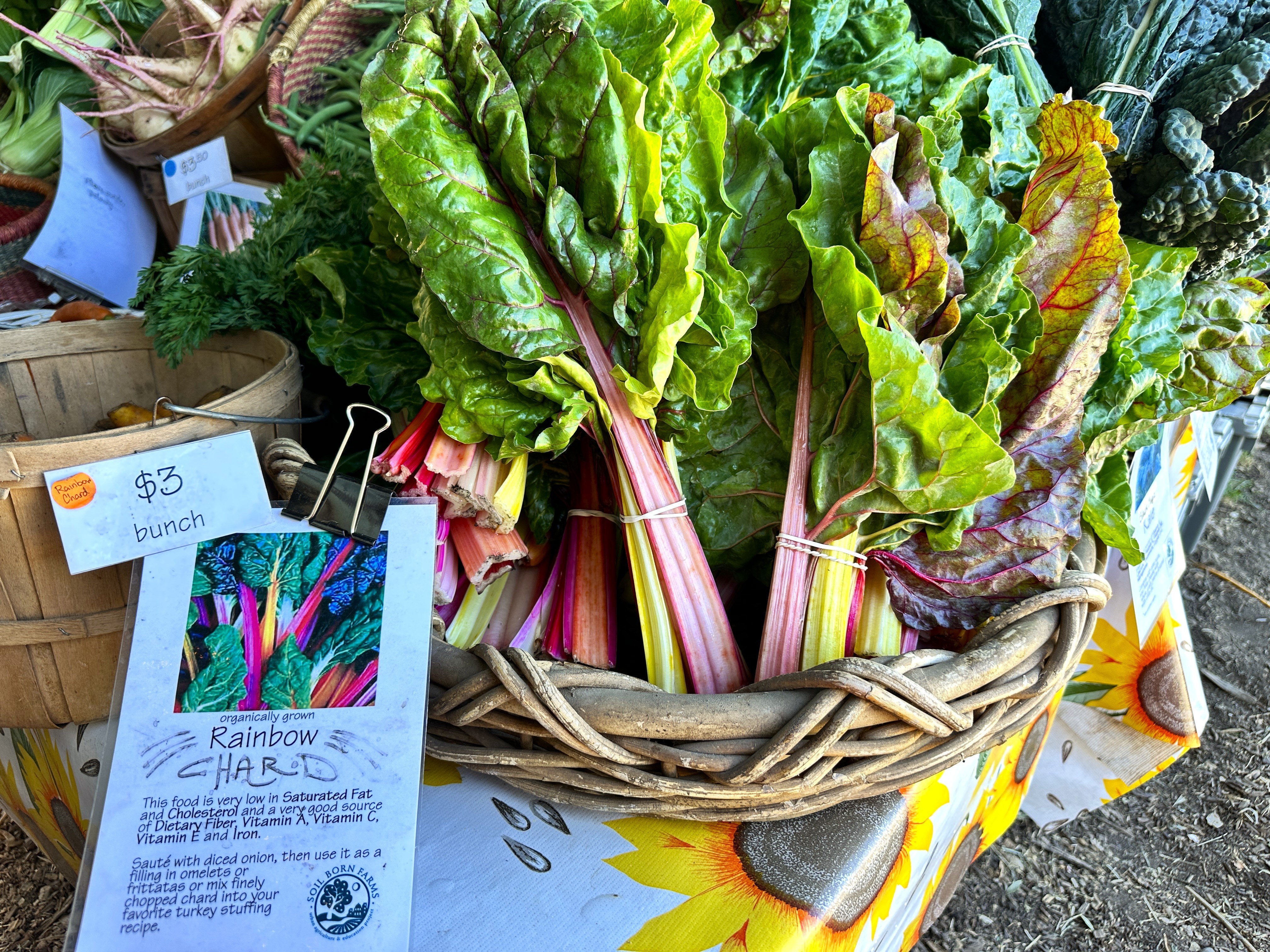 A large bunch of rainbow chard at Soil Born Farms